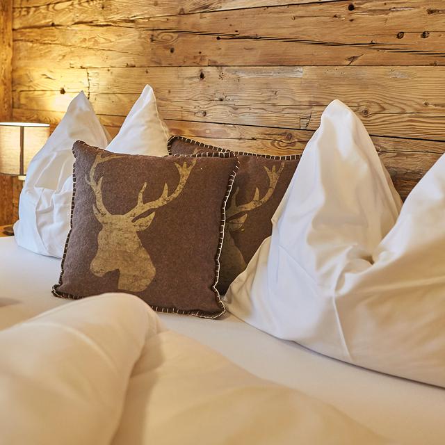 AlpenParks Hotel & Apartment Sonnleiten vanaf € 1720,00!