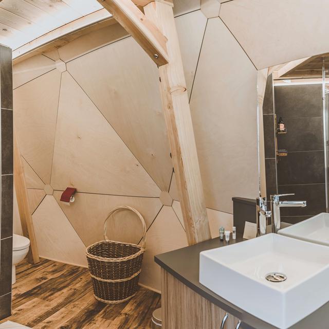 Alpin D'Hôme vanaf €321,00!