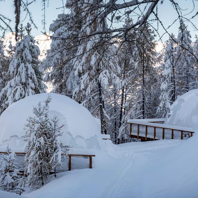 Alpin D'Hôme vanaf € 321,00!