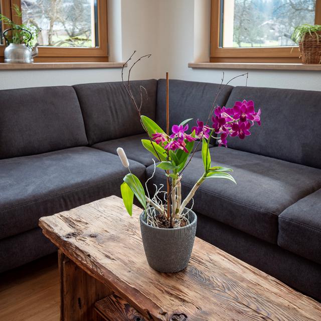 Appartementen Höllwarth vanaf € 1121,00!