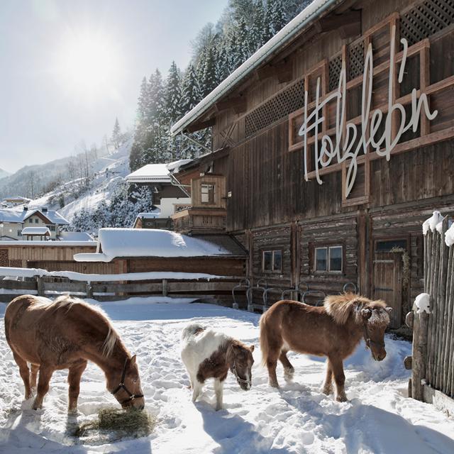 Feriendorf Holzleb'n vanaf € 931,00!