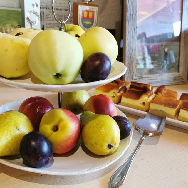 Oberauer Wagrain Die Eco Familien Hotelpension vanaf 976,-!