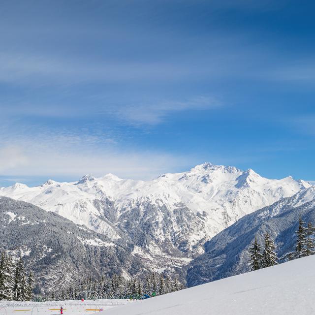 Résidence P&V Premium Les Chalets Du Forum vanaf €,-!