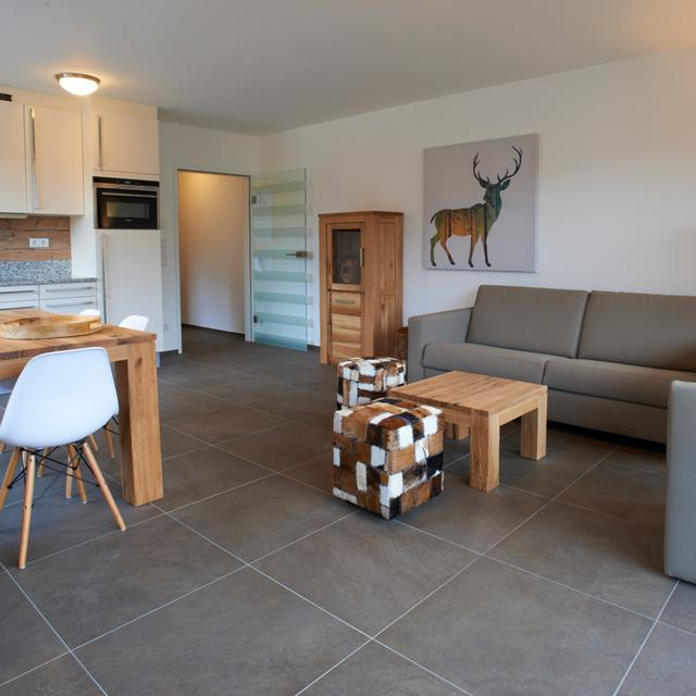 Ski & Golf Suites Zell Am See vanaf 1091,-!