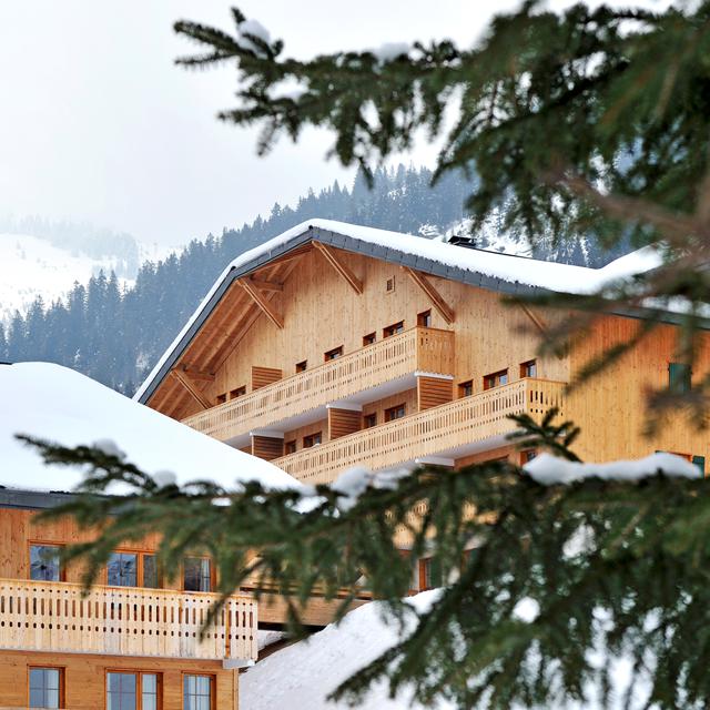 Vakantie naar Résidence Le Grand Lodge in Châtel in Frankrijk