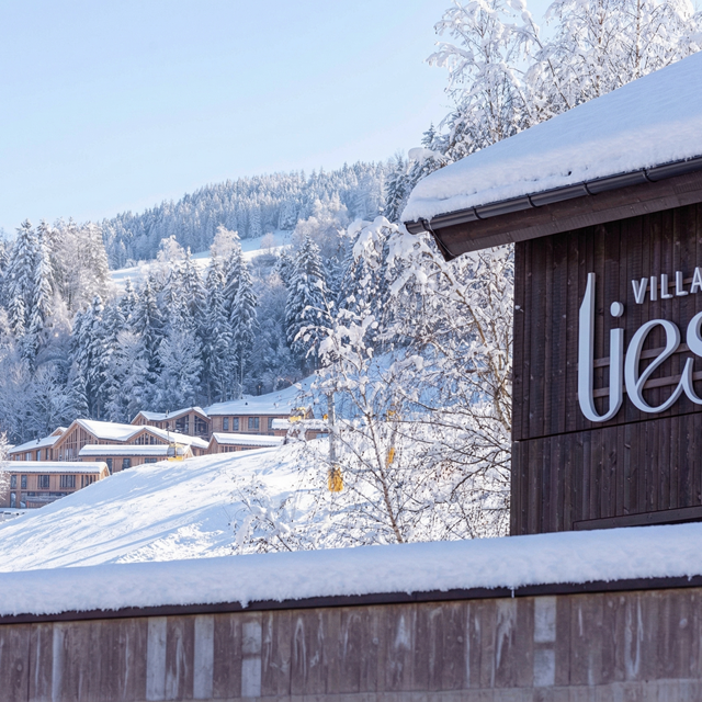 Villa Liesl By Alps Resorts vanaf € 664,00!
